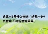 哈弗m6是什么音響（哈弗m6什么音響 不錯的音響效果）