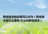 爬蟲技術(shù)的應(yīng)用可以分為（爬蟲技術(shù)是什么意思 什么叫爬蟲技術(shù)）