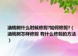油桃樹什么時(shí)候修剪?如何修剪?（油桃樹怎樣修剪 有什么修剪的方法）