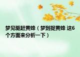 夢(mèng)見驅(qū)趕黃蜂（夢(mèng)到捉黃蜂 這6個(gè)方面來分析一下）