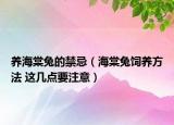 養(yǎng)海棠兔的禁忌（海棠兔飼養(yǎng)方法 這幾點要注意）