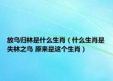 放鳥(niǎo)歸林是什么生肖（什么生肖是失林之鳥(niǎo) 原來(lái)是這個(gè)生肖）