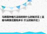 馬蹄蓮種植方法和時(shí)間什么時(shí)候開(kāi)花（盆栽馬蹄蓮花期有多長(zhǎng) 什么時(shí)候開(kāi)花）