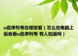 u盤序列號(hào)在哪里看（怎么在電腦上面查看u盤序列號(hào) 有人知道嗎）