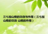 三七加山楂的功效與作用（三七加山楂的功效 山楂的作用）