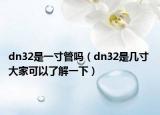 dn32是一寸管嗎（dn32是幾寸 大家可以了解一下）