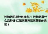 種植煙的品種有哪些?（種植煙草什么品種好 紅花煙草黃花煙草要分地區(qū)）