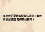 海南黃花梨紫油梨怎么鑒定（海黃紫油梨鑒別 有保藏價(jià)錢嗎）