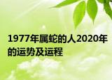 1977年屬蛇的人2020年的運勢及運程