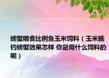 螃蟹喂食比例魚玉米飼料（玉米腸釣螃蟹效果怎樣 你是用什么飼料的呢）