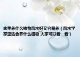 家里養(yǎng)什么植物風(fēng)水好又容易養(yǎng)（風(fēng)水學(xué)家里適合養(yǎng)什么植物 大家可以看一看）
