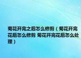 菊花開完之后怎么修剪（菊花開完花后怎么修剪 菊花開完花后怎么處理）