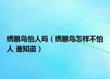 繡眼鳥怕人嗎（繡眼鳥怎樣不怕人 誰知道）