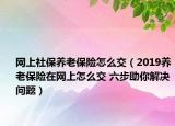 網(wǎng)上社保養(yǎng)老保險怎么交（2019養(yǎng)老保險在網(wǎng)上怎么交 六步助你解決問題）