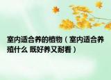 室內(nèi)適合養(yǎng)的植物（室內(nèi)適合養(yǎng)殖什么 既好養(yǎng)又耐看）