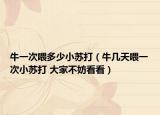 牛一次喂多少小蘇打（牛幾天喂一次小蘇打 大家不妨看看）