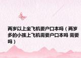 兩歲以上坐飛機要戶口本嗎（兩歲多的小孩上飛機需要戶口本嗎 需要嗎）