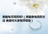 象腿龜可飼養(yǎng)嗎?（黃腿象龜飼養(yǎng)方法 希望對(duì)大家有所幫助）