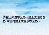 養(yǎng)花土太濕怎么辦（盆土太濕怎么辦 家里花盆土太濕該怎么辦）