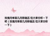 玫瑰月季苗幾月移栽活 給大家分析一下吧（玫瑰月季苗幾月移栽活 給大家分析一下）