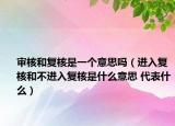 審核和復(fù)核是一個意思嗎（進入復(fù)核和不進入復(fù)核是什么意思 代表什么）