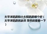 太平洋鸚鵡和小太陽鸚鵡哪個(gè)好（太平洋鸚鵡優(yōu)缺點(diǎn) 想養(yǎng)的要看一下）
