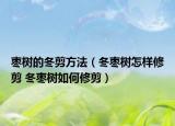 棗樹的冬剪方法（冬棗樹怎樣修剪 冬棗樹如何修剪）