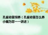 孔雀幼苗飼養(yǎng)（孔雀幼苗怎么養(yǎng) 小編為您一一講述）