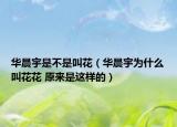 華晨宇是不是叫花（華晨宇為什么叫花花 原來是這樣的）