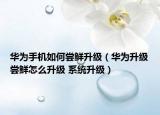 華為手機(jī)如何嘗鮮升級(jí)（華為升級(jí)嘗鮮怎么升級(jí) 系統(tǒng)升級(jí)）
