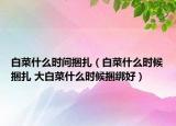 白菜什么時間捆扎（白菜什么時候捆扎 大白菜什么時候捆綁好）