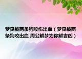 夢見被兩條狗咬傷出血（夢見被兩條狗咬出血 周公解夢為你解吉兇）