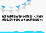 生活說說感悟生活的心情短語（心情說說感悟生活句子簡短 文字控心情說說短句）