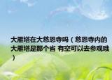大雁塔在大慈恩寺嗎（慈恩寺內(nèi)的大雁塔是那個(gè)省 有空可以去參觀哦）
