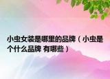 小蟲(chóng)女裝是哪里的品牌（小蟲(chóng)是個(gè)什么品牌 有哪些）