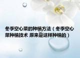 冬季空心菜的種植方法（冬季空心菜種植技術(shù) 原來是這樣種植的）