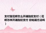 支付寶花唄怎么開通指紋支付（花唄怎樣開通指紋支付 你知道方法嗎）