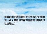 盆栽月季花怎樣修剪 輕輕松松讓它爆盆快一點（盆栽月季花怎樣修剪 輕輕松松讓它爆盆）