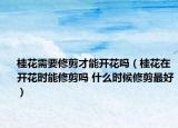 桂花需要修剪才能開花嗎（桂花在開花時能修剪嗎 什么時候修剪最好）