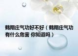 鶴翔莊氣功好不好（鶴翔莊氣功有什么危害 你知道嗎）