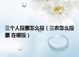 三個人投票怎么投（三農怎么投票 在哪投）
