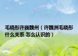 毛曉彤許巍魏州（許魏洲毛曉彤什么關(guān)系 怎么認(rèn)識(shí)的）