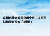 慶陽有什么油田是哪個?。☉c陽石油儲量有多大 在哪里）