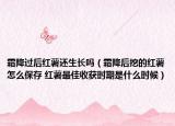 霜降過后紅薯還生長嗎（霜降后挖的紅薯怎么保存 紅薯最佳收獲時(shí)期是什么時(shí)候）