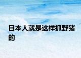 日本人就是這樣抓野豬的