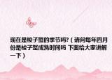 現(xiàn)在是梭子蟹的季節(jié)嗎?（請(qǐng)問(wèn)每年四月份是梭子蟹成熟時(shí)間嗎 下面給大家講解一下）