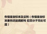 傷情鑒定標準及量刑（傷情鑒定標準重傷還能調解嗎 犯罪分子無處可逃）