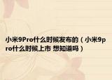小米9Pro什么時候發(fā)布的（小米9pro什么時候上市 想知道嗎）