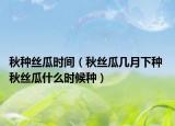 秋種絲瓜時間（秋絲瓜幾月下種 秋絲瓜什么時候種）