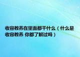 收容教養(yǎng)在里面都干什么（什么是收容教養(yǎng) 你都了解過嗎）
